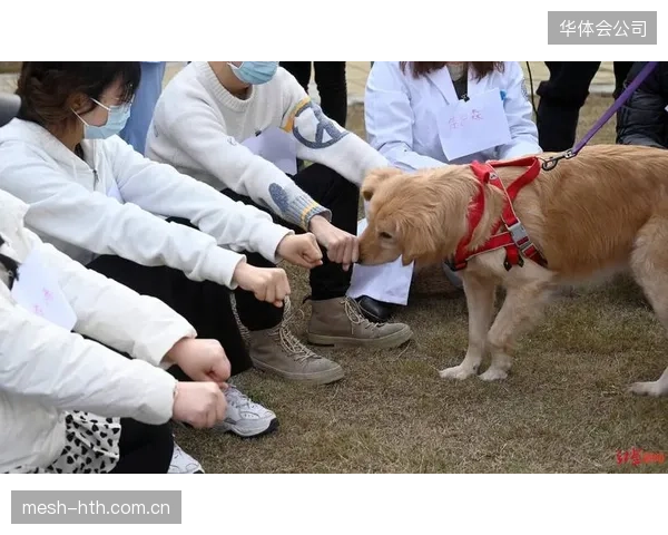 运动心理专家介入，帮助巴拿马球员在高压环境下维持决策的稳定性。
